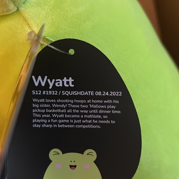 *CROSS LIST* NWT 12” Select Series Wyatt the Frog Squishmallows rare collectible - Picture 4 of 7